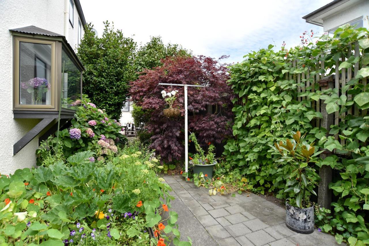 Salisbury Apartment - Christchurch Holiday Homes Esterno foto